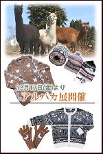 12/17～『アルパカ展』開催