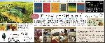 2/9～『アートギャッベ展2013.春』開催